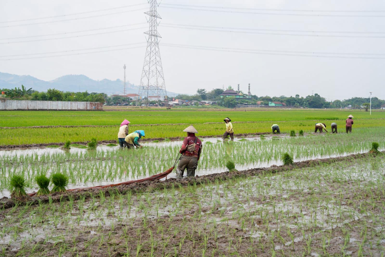 Perspektif: Sinergi Edisi 64-Pengentasan Kemiskinan, antara Perubahan Pola Pikir dan Upaya Kolaborasi Bersama